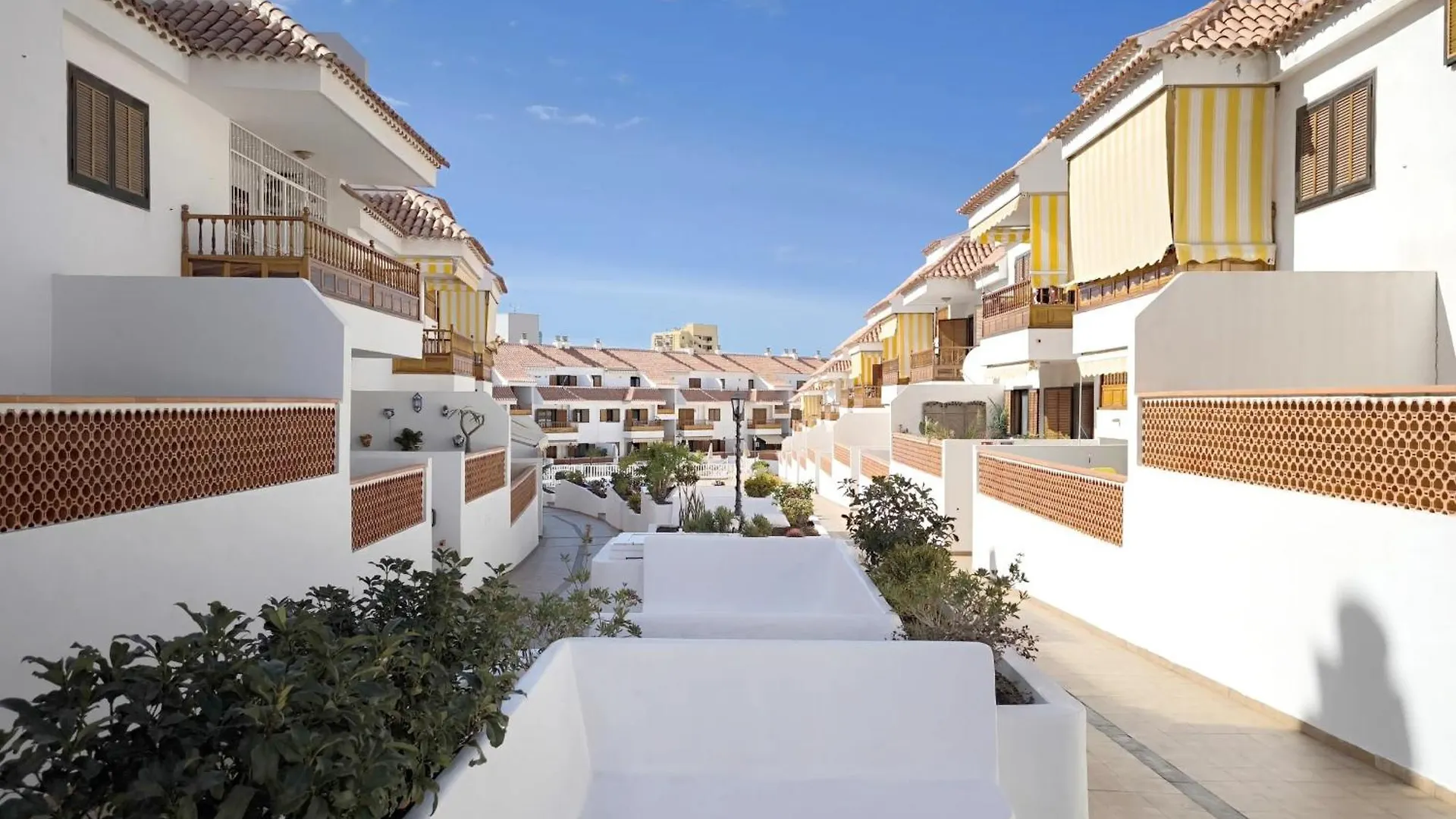 Apartment In Los Cristianos Playa de las Americas  Španělsko