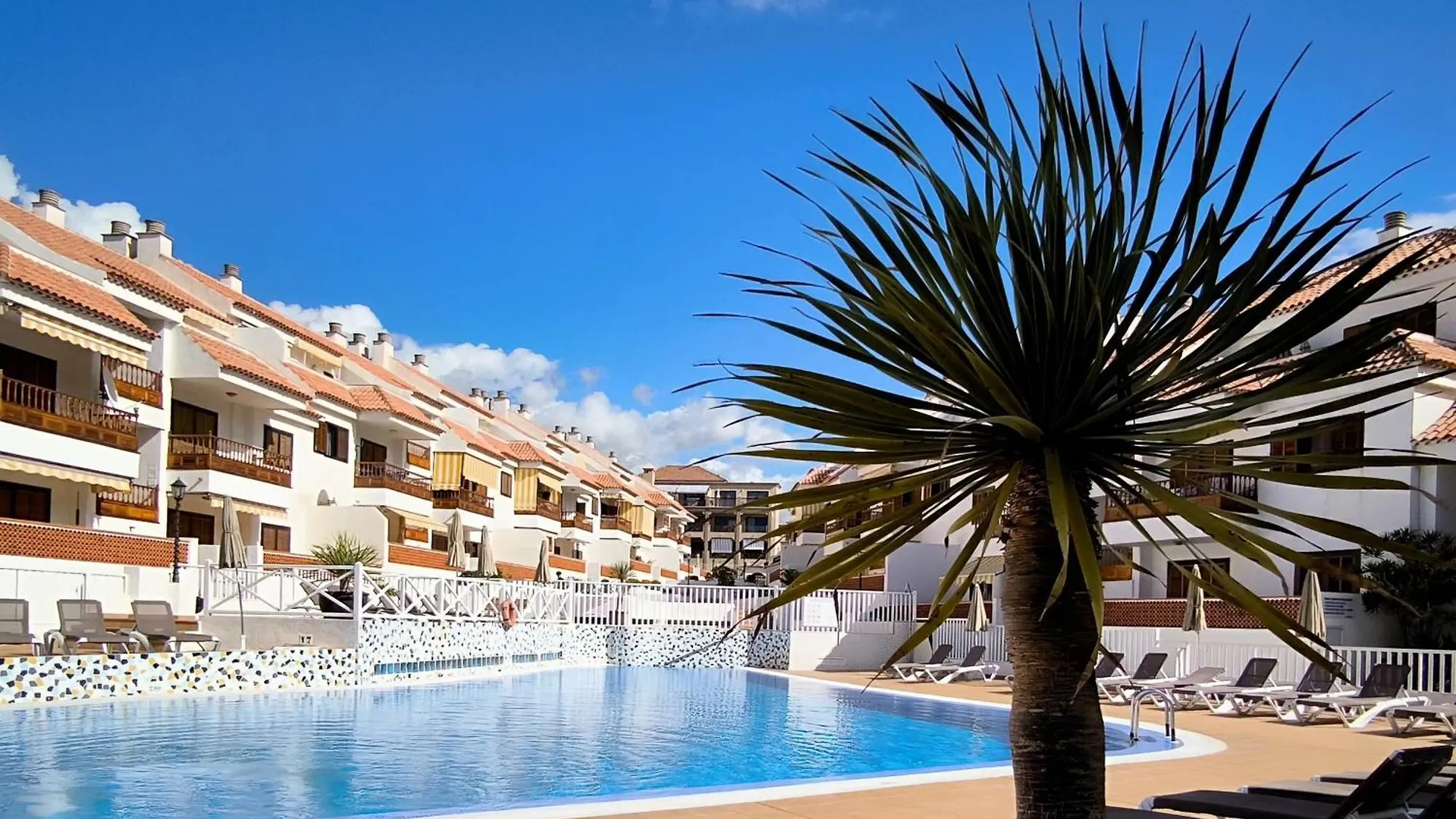 Apartment In Los Cristianos Playa de las Americas