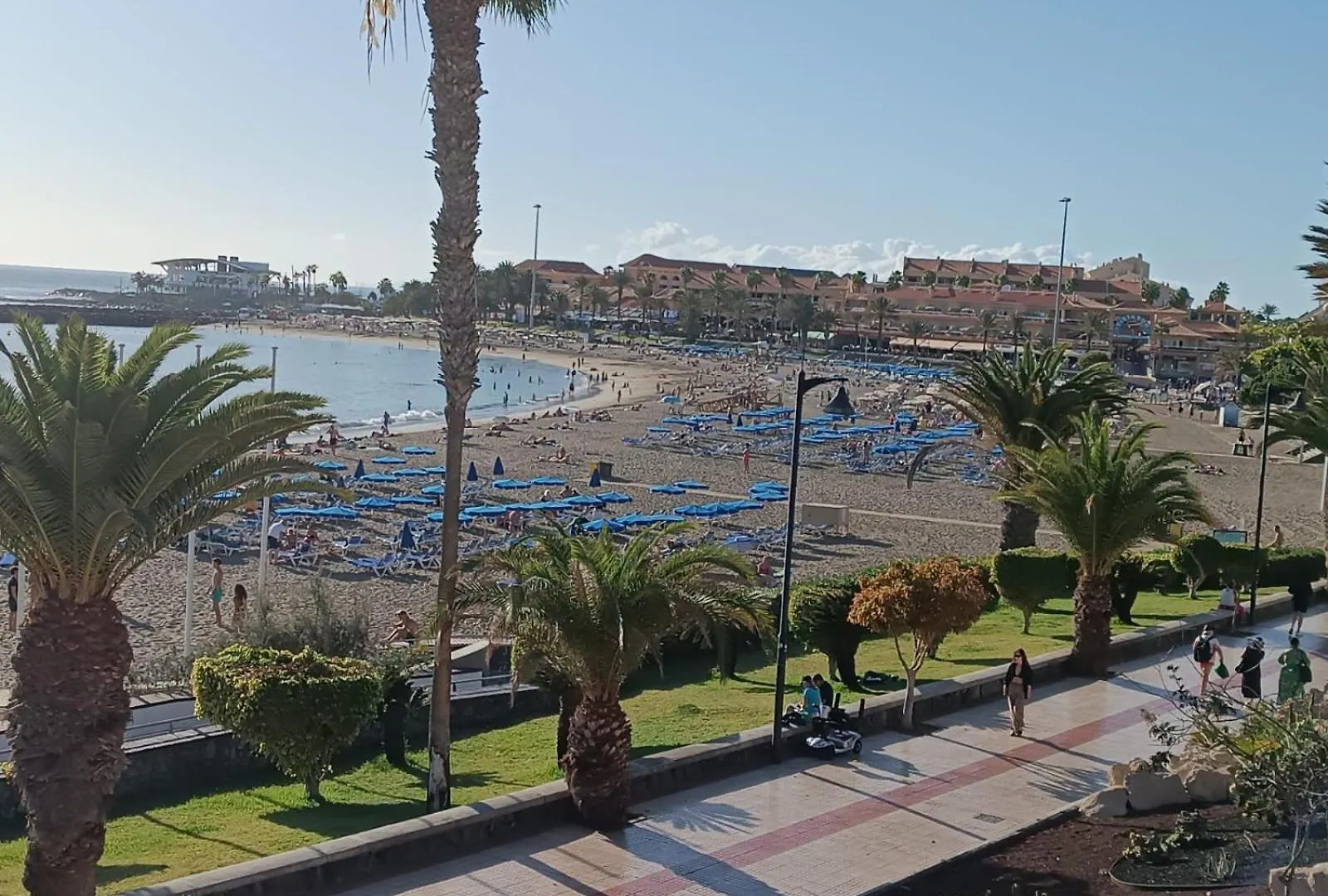 Apartment In Los Cristianos Playa de las Americas  Playa de las Americas (Tenerife)